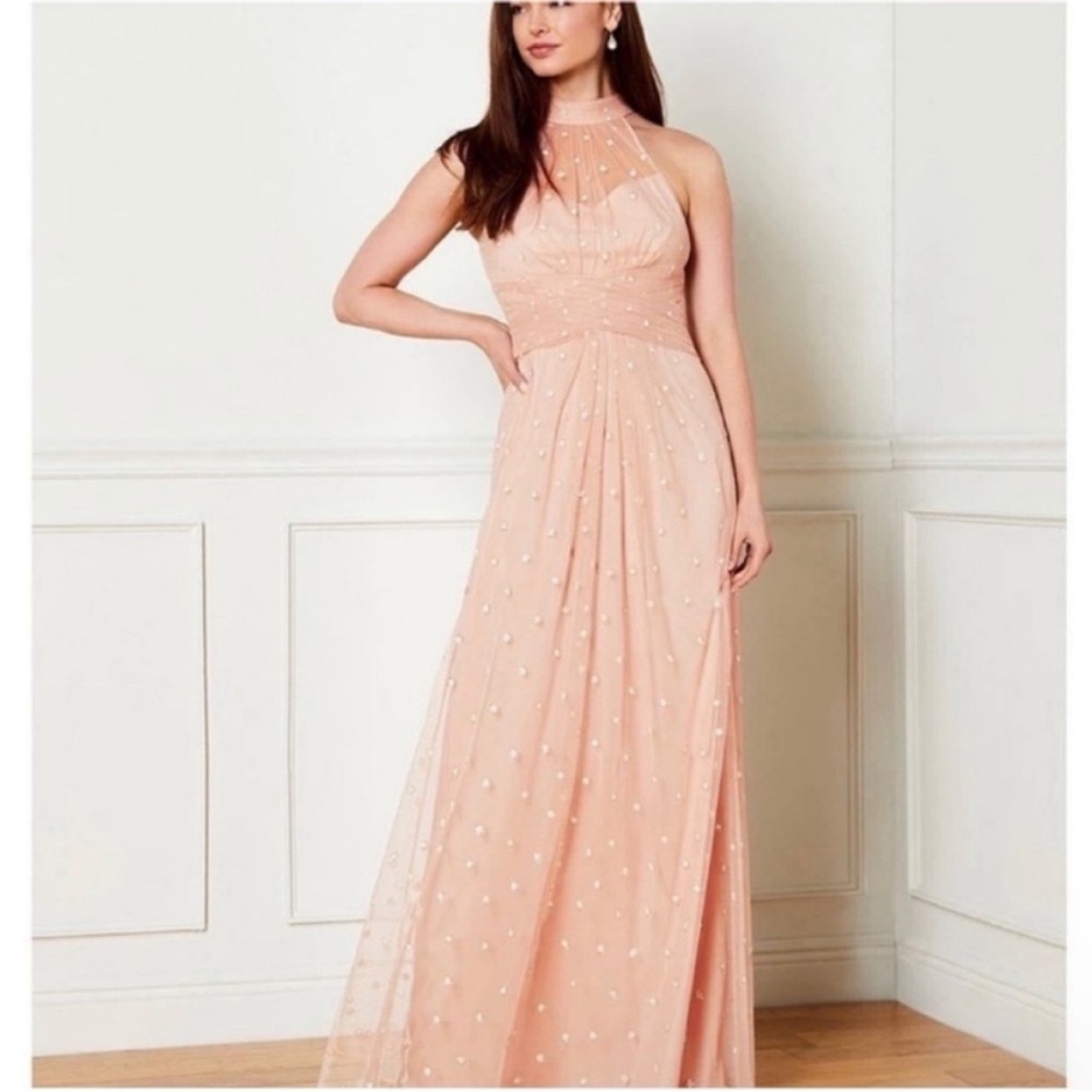 Adrianna Pappell Fairy Romantic Glitter Sheer Halter Neck Sleeveless Maxi Dress